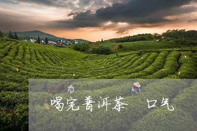 喝完普洱茶 口气/2023031650573